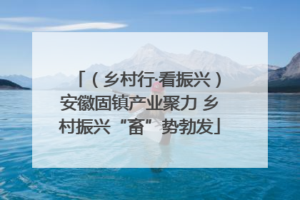 （乡村行·看振兴）安徽固镇产业聚力 乡村振兴“畜”势勃发