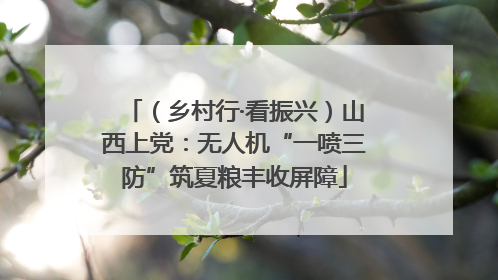 （乡村行·看振兴）山西上党：无人机“一喷三防”筑夏粮丰收屏障