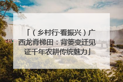 （乡村行·看振兴）广西龙脊梯田：背篓变迁见证千年农耕传统魅力