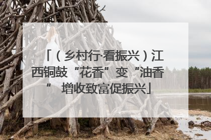 （乡村行·看振兴）江西铜鼓“花香”变“油香” 增收致富促振兴