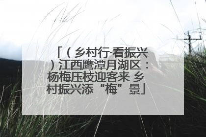 （乡村行·看振兴）江西鹰潭月湖区：杨梅压枝迎客来 乡村振兴添“梅”景