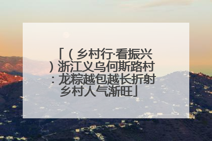 （乡村行·看振兴）浙江义乌何斯路村：龙粽越包越长折射乡村人气渐旺