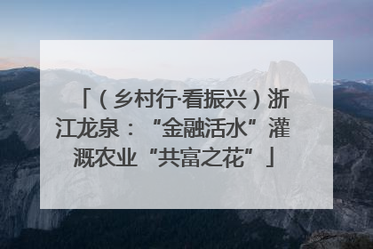 （乡村行·看振兴）浙江龙泉：“金融活水”灌溉农业“共富之花”