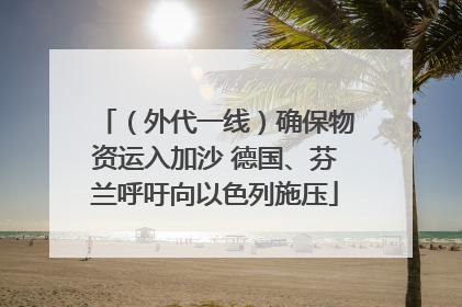 （外代一线）确保物资运入加沙 德国、芬兰呼吁向以色列施压