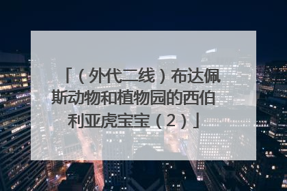 （外代二线）布达佩斯动物和植物园的西伯利亚虎宝宝（2）
