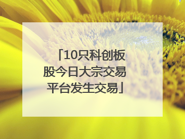 10只科创板股今日大宗交易平台发生交易