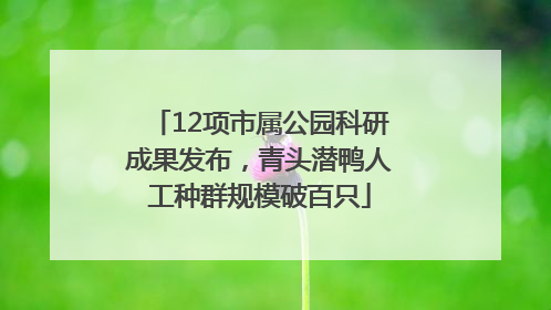 12项市属公园科研成果发布，青头潜鸭人工种群规模破百只