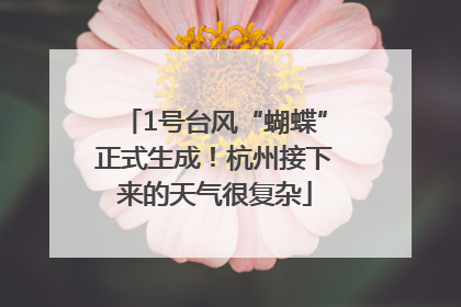 1号台风“蝴蝶”正式生成！杭州接下来的天气很复杂