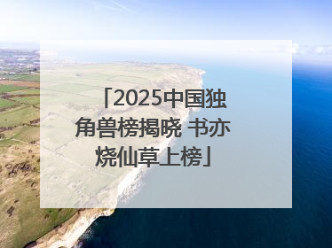 2025中国独角兽榜揭晓 书亦烧仙草上榜