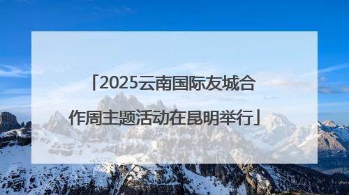 2025云南国际友城合作周主题活动在昆明举行