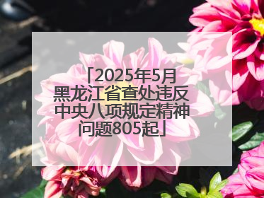 2025年5月黑龙江省查处违反中央八项规定精神问题805起