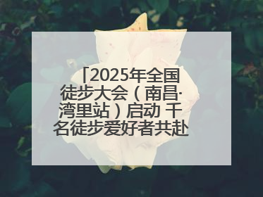 2025年全国徒步大会（南昌·湾里站）启动 千名徒步爱好者共赴山水之约