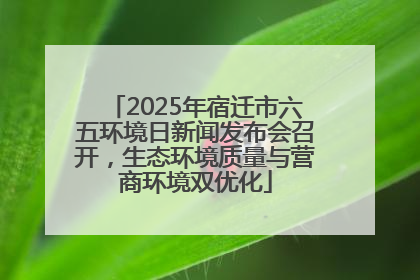 2025年宿迁市六五环境日新闻发布会召开，生态环境质量与营商环境双优化