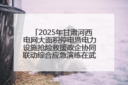 2025年甘肃河西电网大面积停电暨电力设施抢险救援政企协同联动综合应急演练在武威成功举行