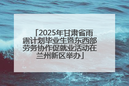 2025年甘肃省雨露计划毕业生暨东西部劳务协作促就业活动在兰州新区举办