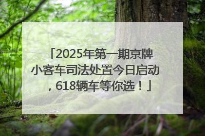 2025年第一期京牌小客车司法处置今日启动，618辆车等你选！