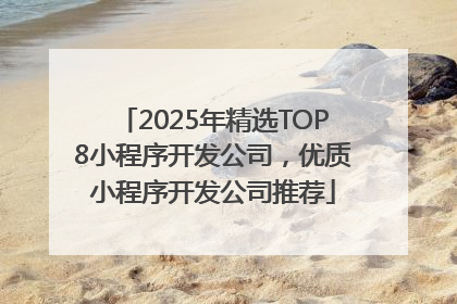 2025年精选TOP8小程序开发公司，优质小程序开发公司推荐