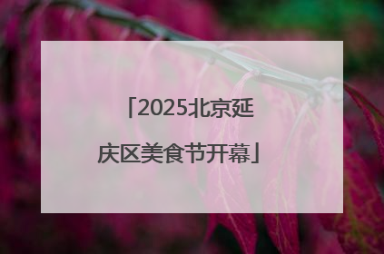 2025北京延庆区美食节开幕