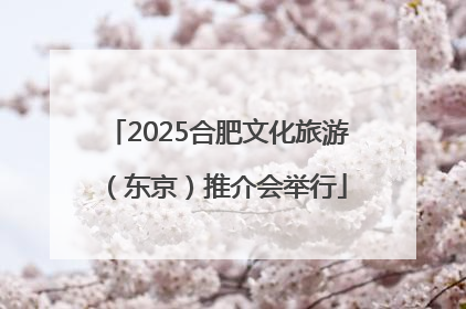 2025合肥文化旅游（东京）推介会举行