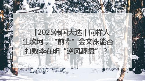 2025韩国大选｜同样人生坎坷，“前辈”金文洙能否打败李在明“逆风翻盘”？