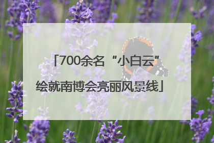 700余名“小白云”绘就南博会亮丽风景线
