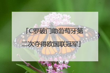 C罗破门助葡萄牙第二次夺得欧国联冠军