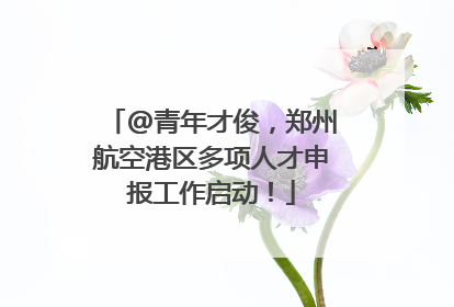 @青年才俊，郑州航空港区多项人才申报工作启动！