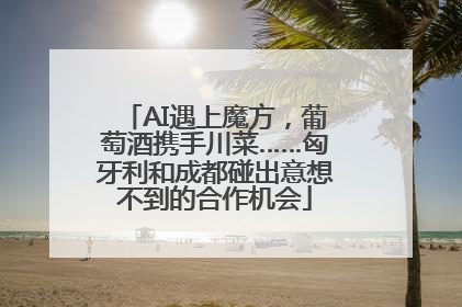 AI遇上魔方，葡萄酒携手川菜……匈牙利和成都碰出意想不到的合作机会