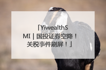 YiwealthSMI｜国投证券空降！关税事件刷屏！